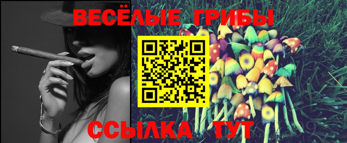 Галлюциногенные грибы Cubensis Магадан